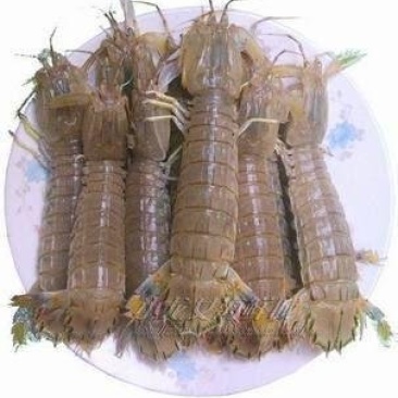 虾婆