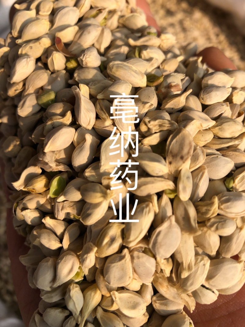 橘核橘子核橘子仁橘米桔核中药材无硫新货橘核一公斤起批