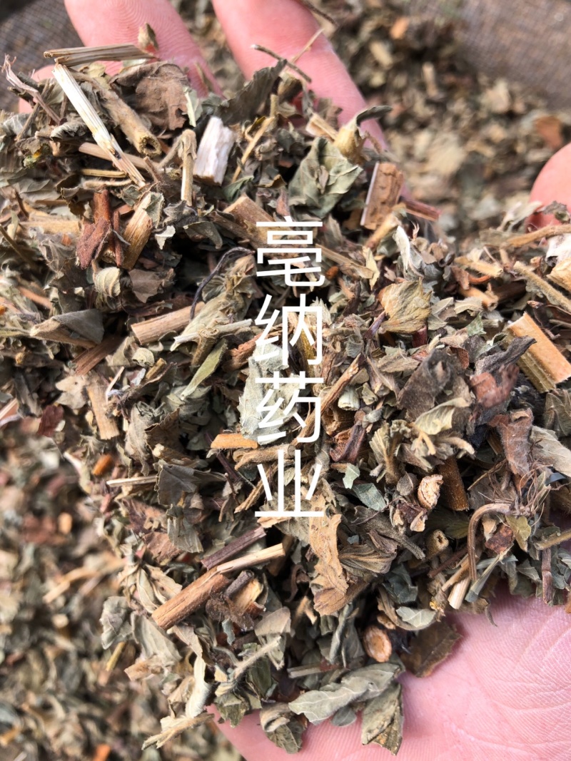 仙鹤草中药材新鲜晒干仙鹤草无硫干货中草药一公斤起批