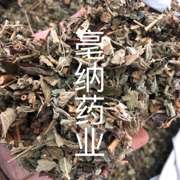 仙鹤草中药材新鲜晒干仙鹤草无硫干货中草药一公斤起批