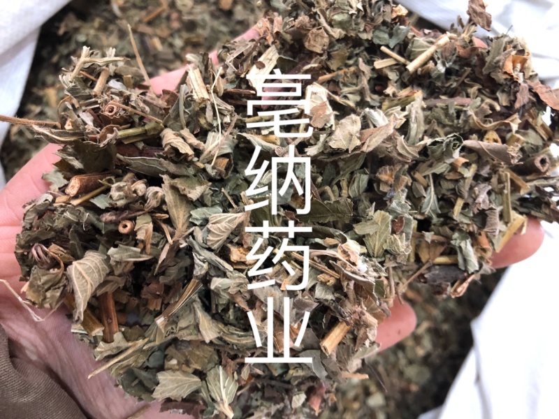 仙鹤草中药材新鲜晒干仙鹤草无硫干货中草药一公斤起批