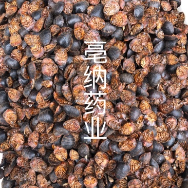 土鳖虫土元干地鳖虫中药材土鳖虫干货一公斤起批