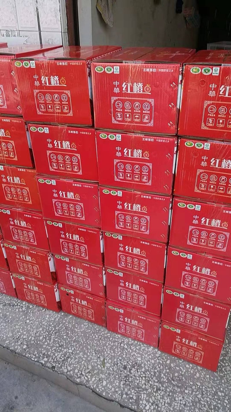 秭归中华血橙红橙产地直供支持一件代发支持寄样