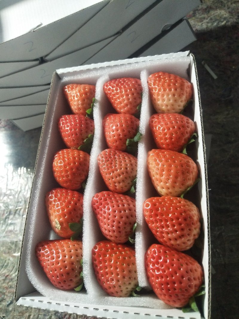草莓