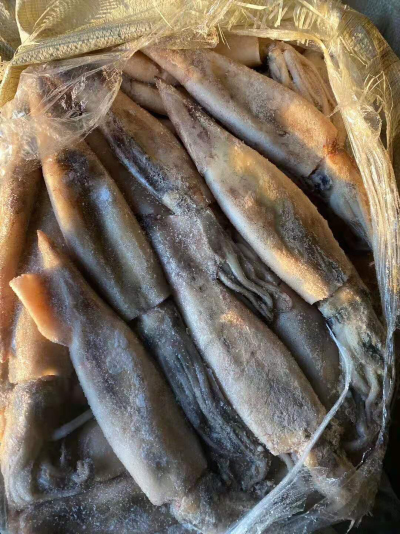 【有好货】精品鱿鱼原头冻板鱿鱼朝鲜边贸批发量大优惠
