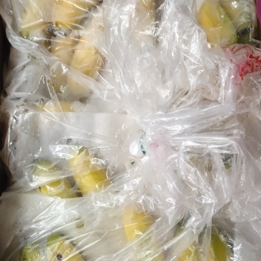 进口蕉水蕉