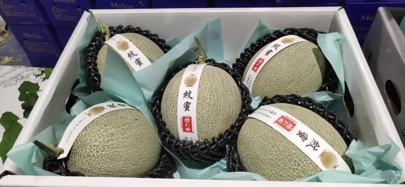 海南网纹瓜一级5粒6粒装，公司订单，寻找长年合作诚信老板