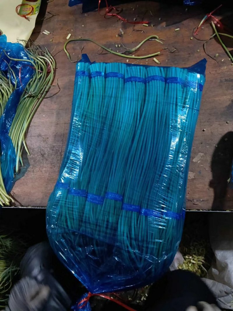 【蒜薹】金乡红帽蒜苔产地直发无霉斑量大从优品质保证