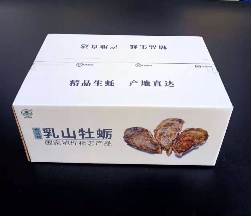 乳山生蚝5斤装鲜活牡蛎清洗干净