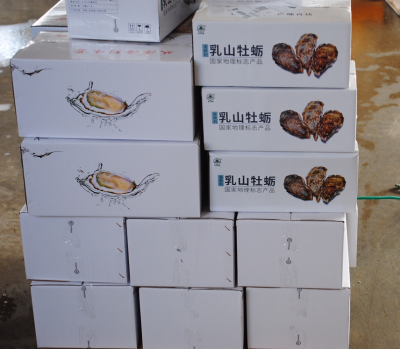 乳山生蚝5斤装鲜活牡蛎清洗干净