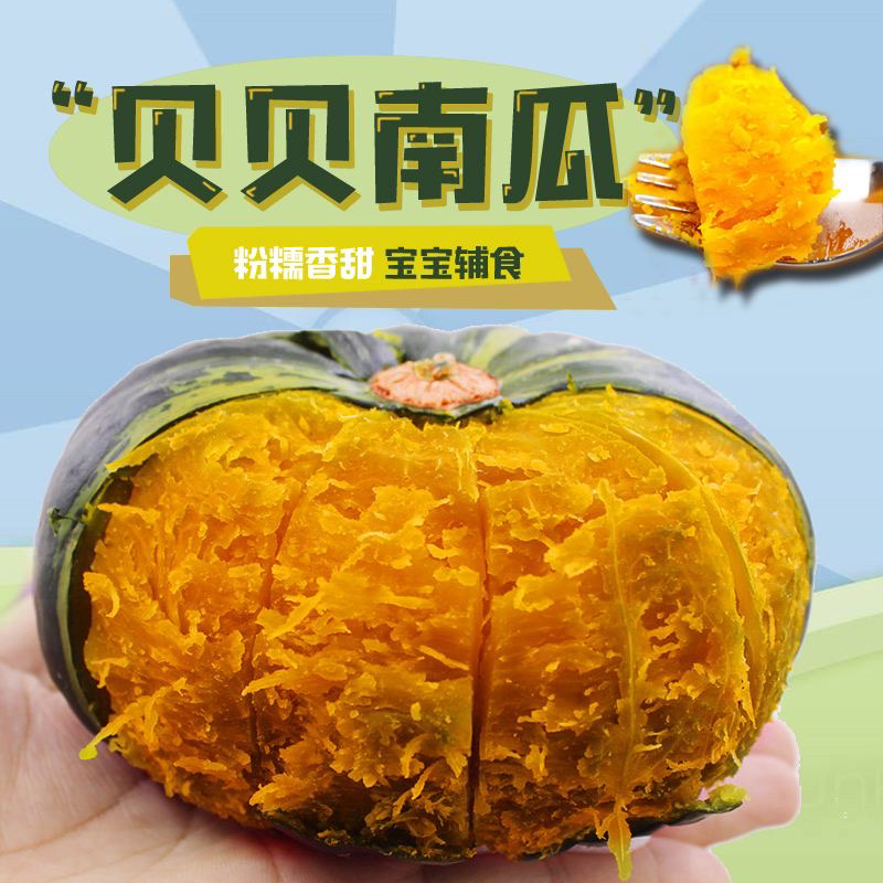 粉糯香甜贝贝小南瓜山东临沂原产地直供一件代发