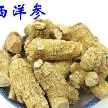西洋参，常年批发供应各种规格西洋参立头量大从优