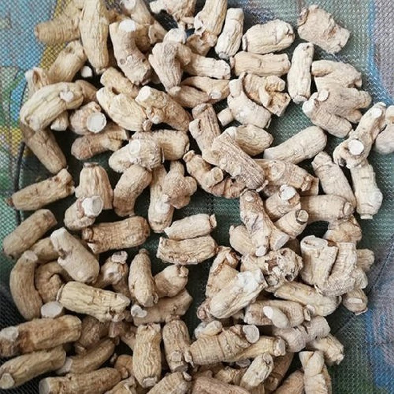 西洋参，常年批发供应各种规格西洋参立头量大从优