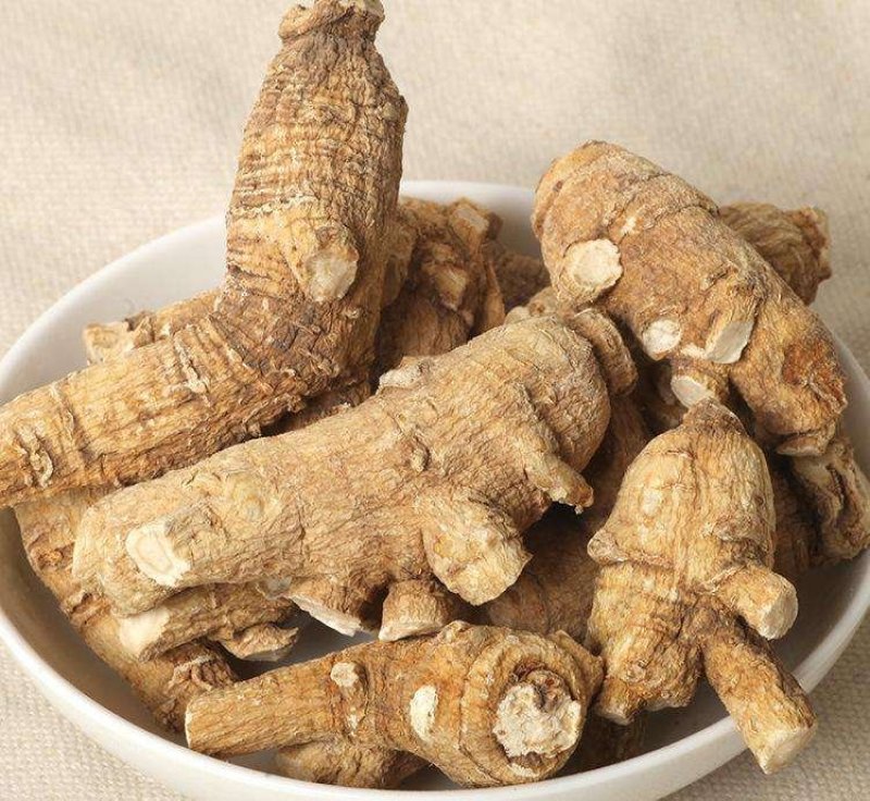 西洋参，常年批发供应各种规格西洋参立头量大从优