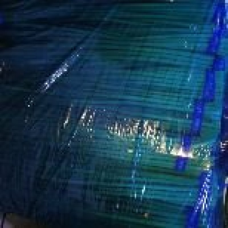 金乡优质蒜苔红帽蒜薹大量上市！物美价廉欢迎选购！