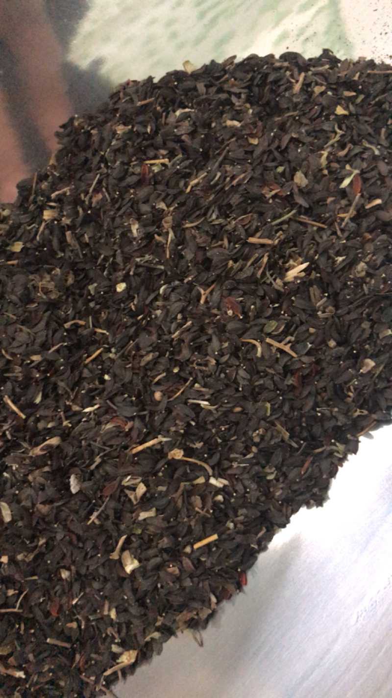 苦荬菜种子鹅草种子增进畜禽食欲进口牧草种子