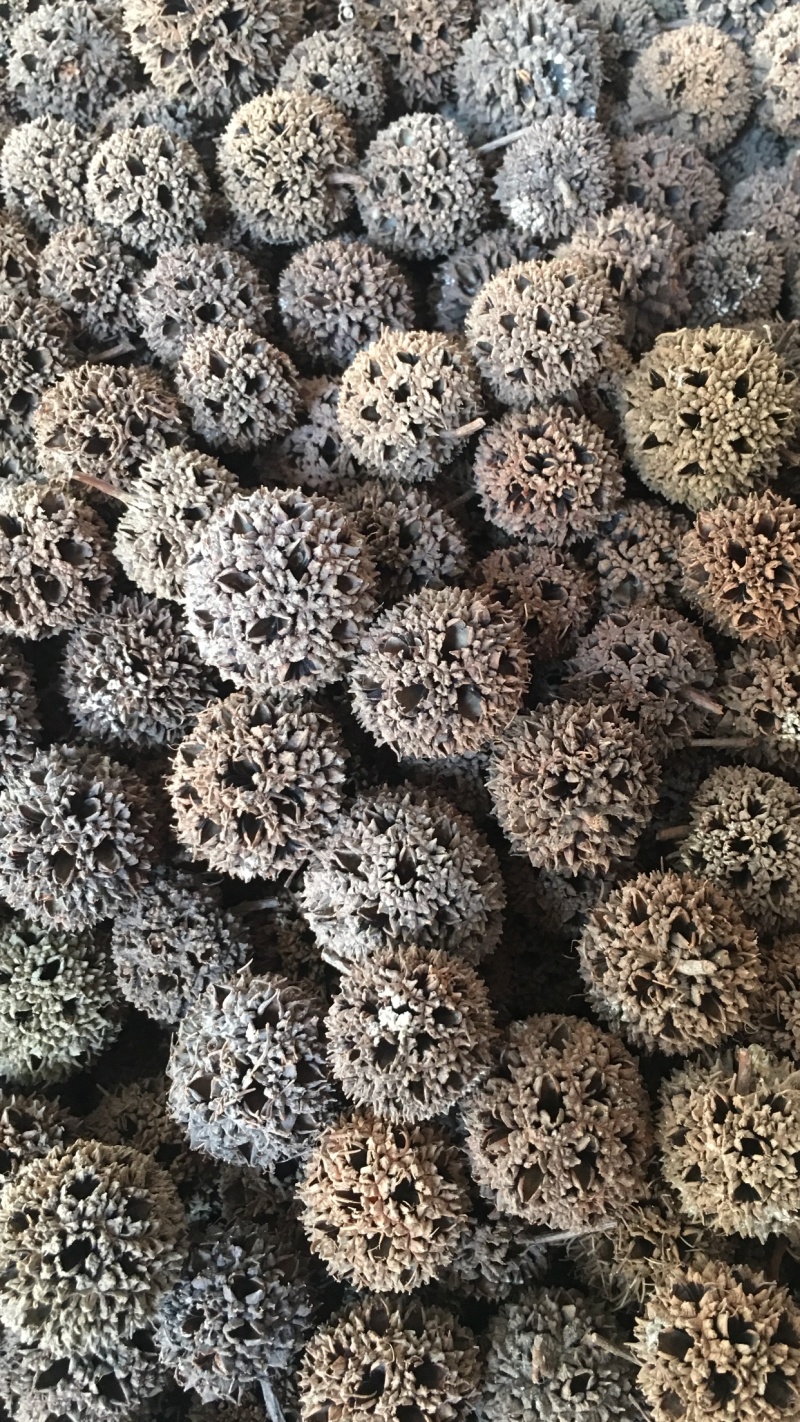 路路通【包邮】三斤起发货可批量可零售量大从优