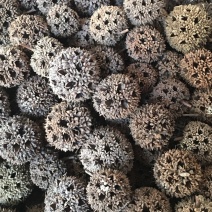 路路通【包邮】三斤起发货可批量可零售量大从优