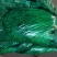 精品香菜，铁杆青，大叶香菜，一手货源，质量好，货发全国
