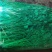 精品香菜，铁杆青，大叶香菜，一手货源，质量好，货发全国