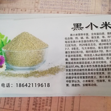 黑小米