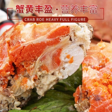 英国面包蟹鲜活熟冻面包蟹即食超大螃蟹