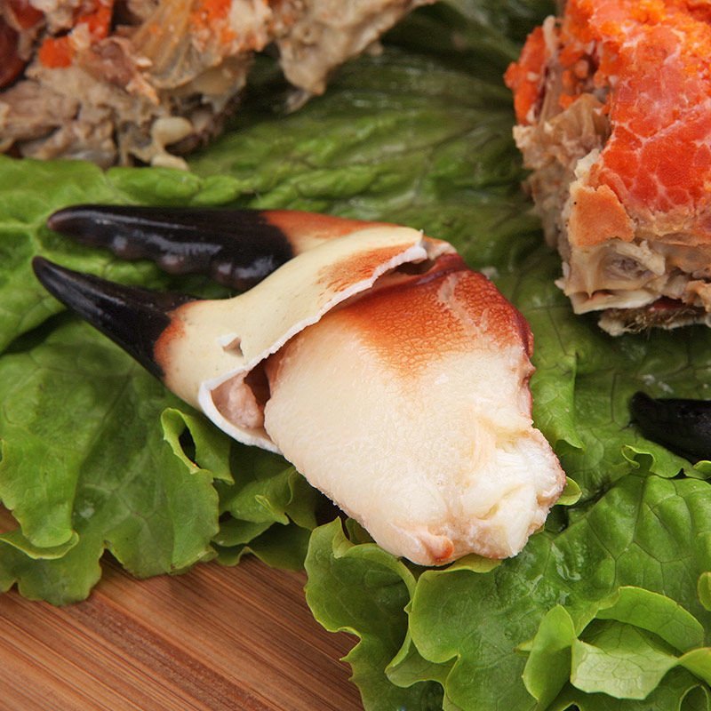 英国面包蟹鲜活熟冻面包蟹即食超大螃蟹