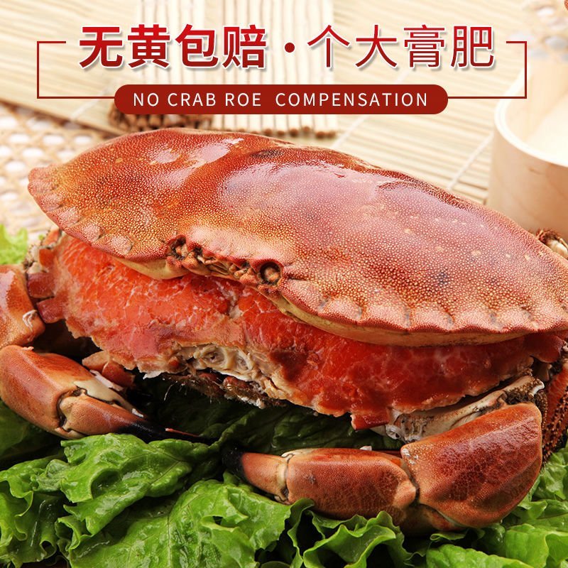 英国面包蟹鲜活熟冻面包蟹即食超大螃蟹