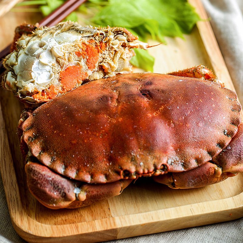 英国面包蟹鲜活熟冻面包蟹即食超大螃蟹