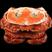 英国面包蟹鲜活熟冻面包蟹即食超大螃蟹珍宝蟹梭子蟹香辣蟹海