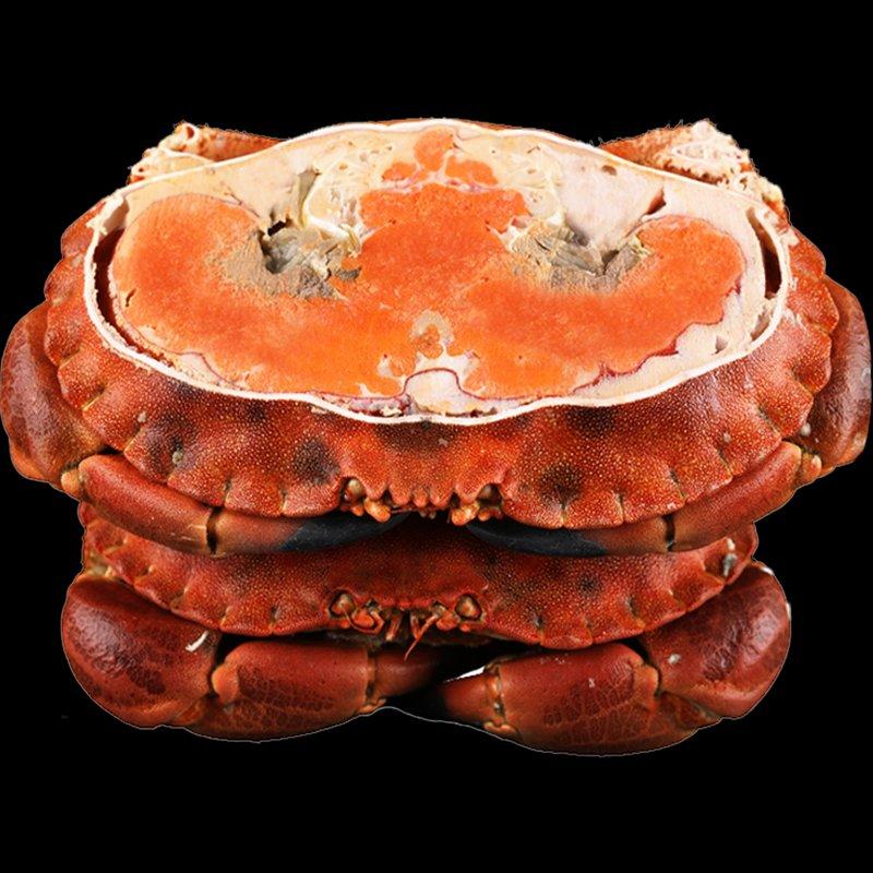 英国面包蟹鲜活熟冻面包蟹即食超大螃蟹珍宝蟹梭子蟹香辣蟹海
