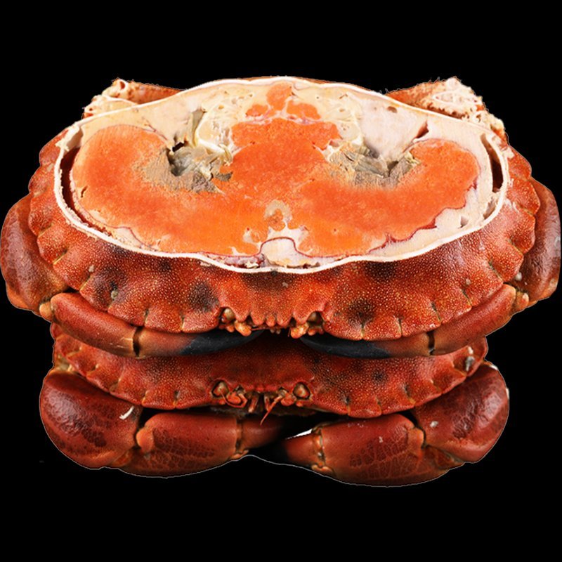 英国面包蟹鲜活熟冻面包蟹即食超大螃蟹