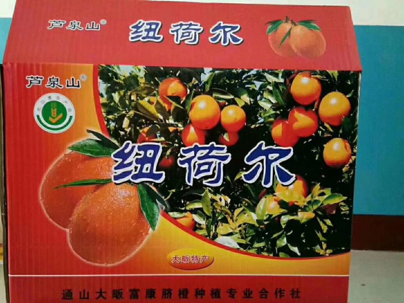 纽荷尔脐橙