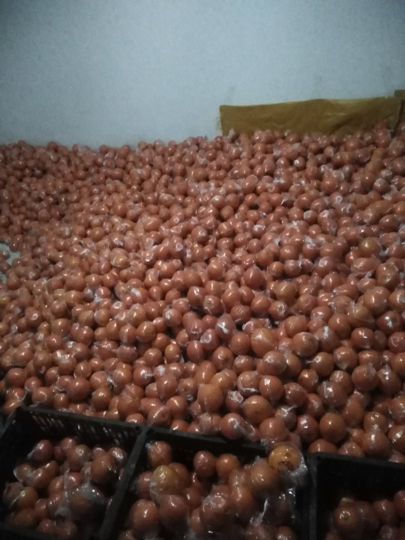 纽荷尔脐橙