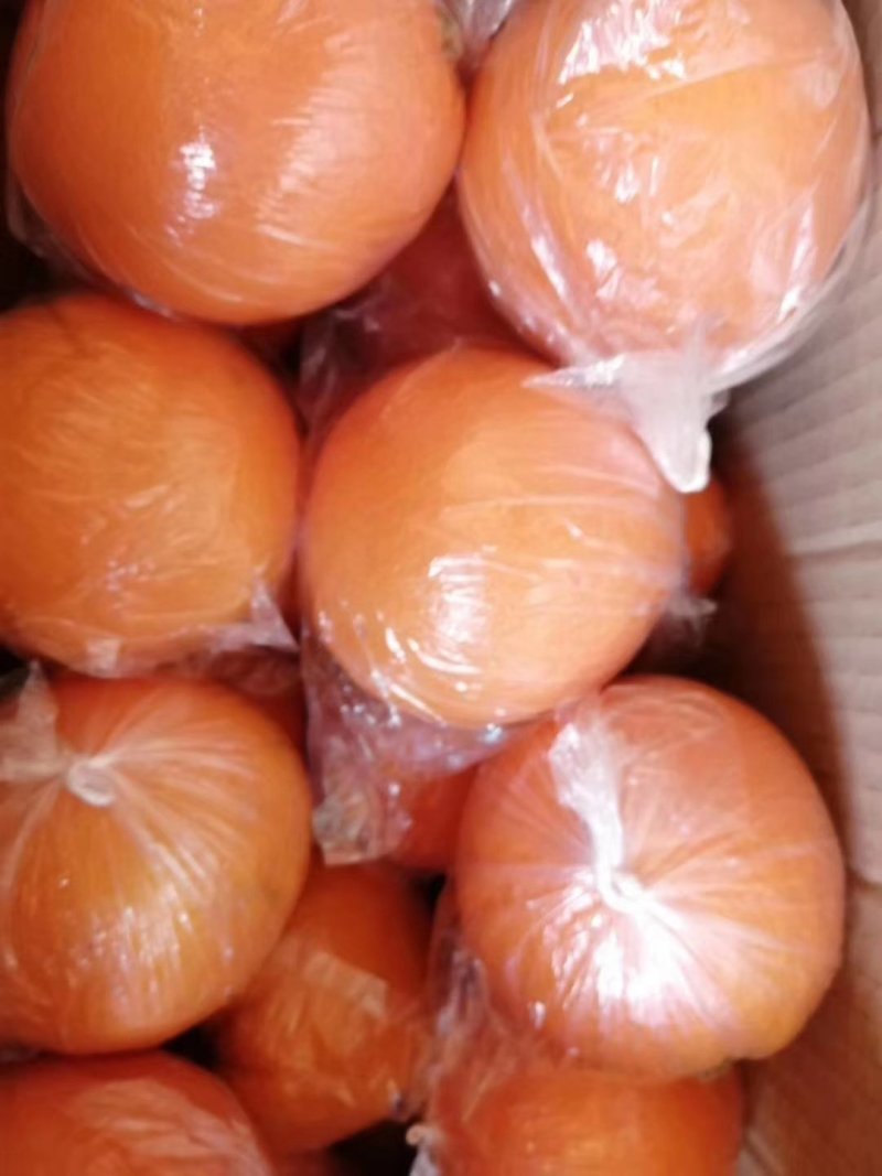 纽荷尔脐橙