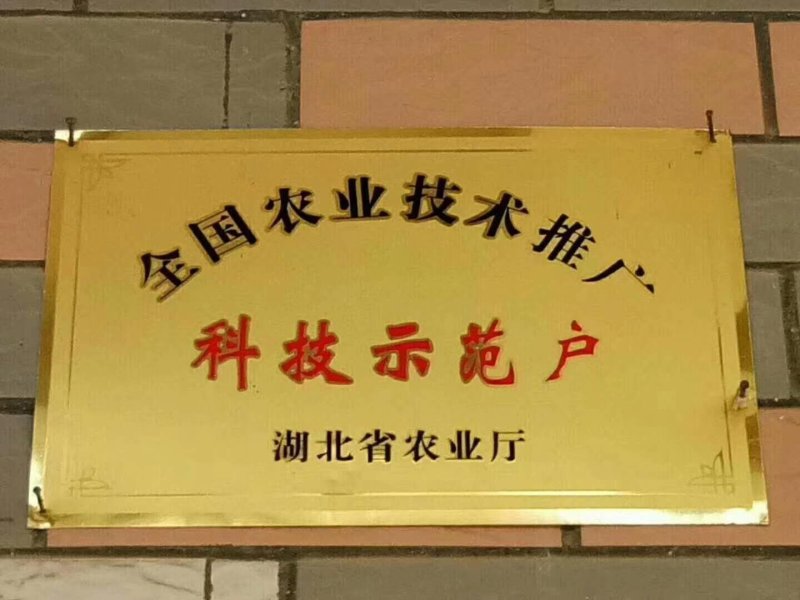 纽荷尔脐橙
