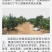 纽荷尔脐橙