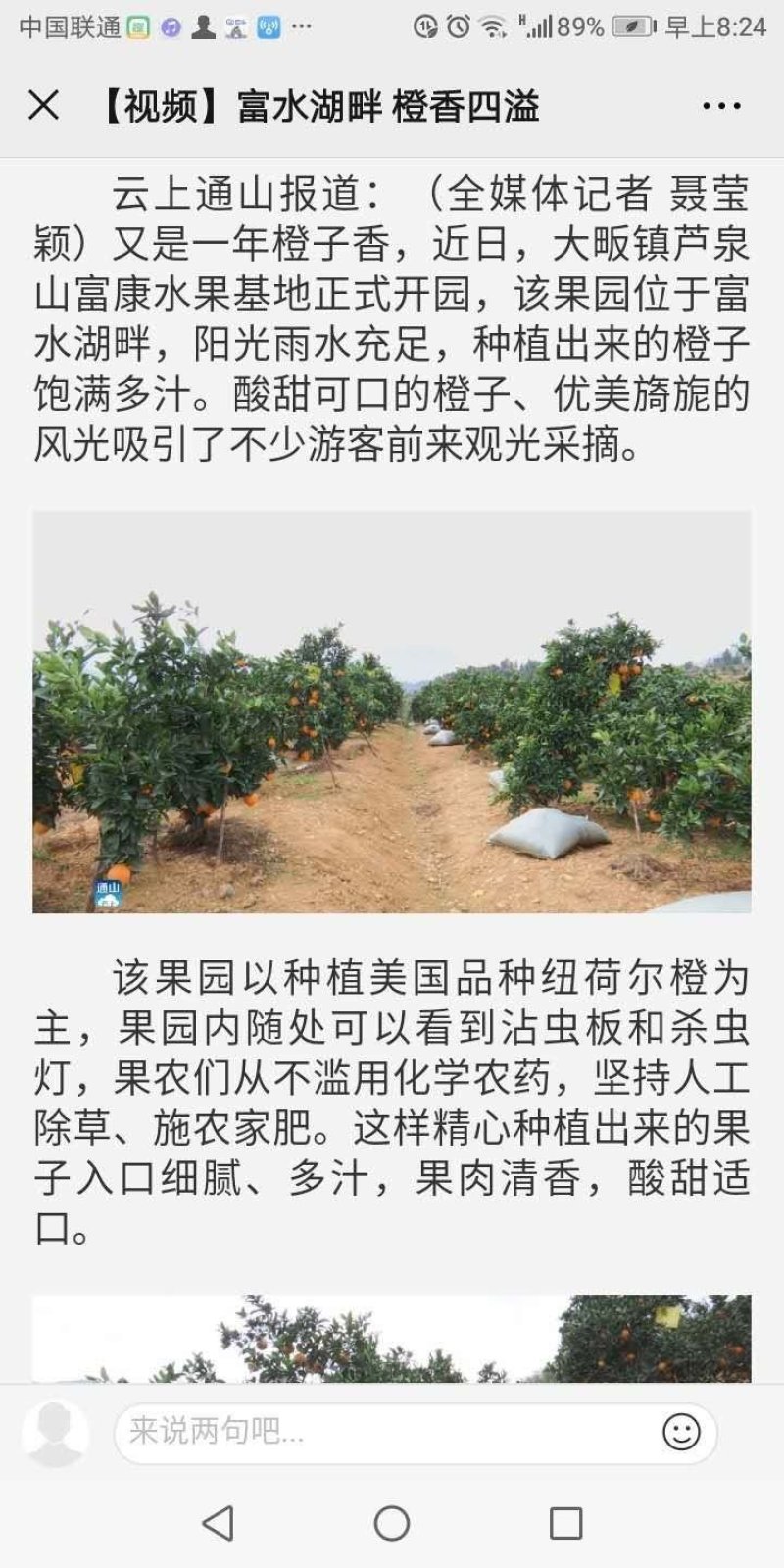 纽荷尔脐橙