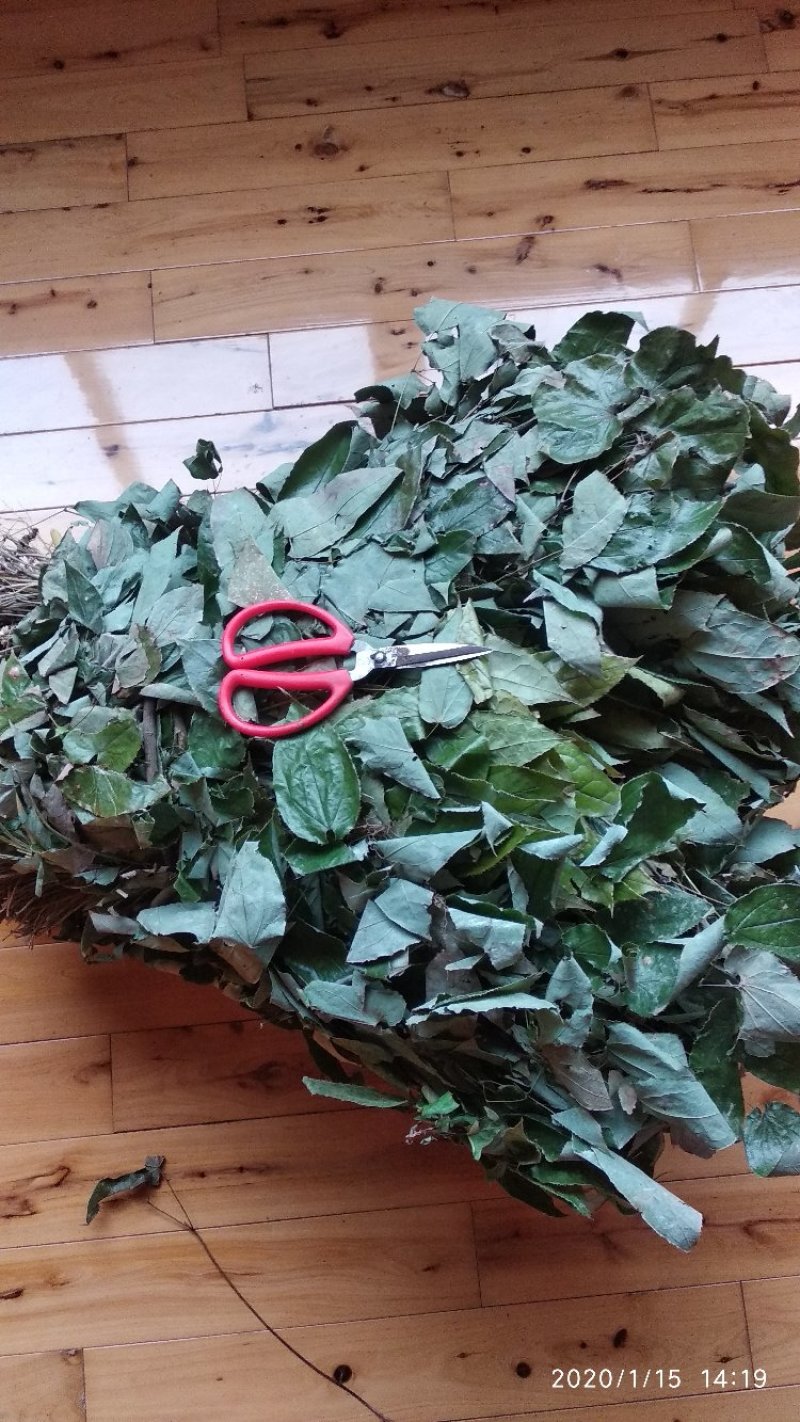 贵州铜仁野生无硫淫羊藿茎叶羊角叶全草仙灵脾根干品产地直发