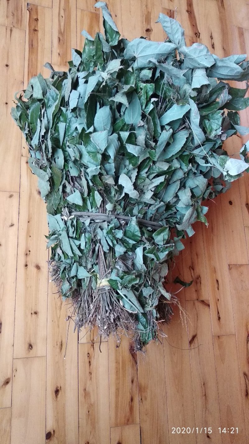 贵州铜仁野生无硫淫羊藿茎叶羊角叶全草仙灵脾根干品产地直发