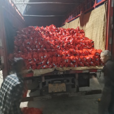 麻阳冰糖橙，老李诚实代办，次果3元/4斤半/包到上车