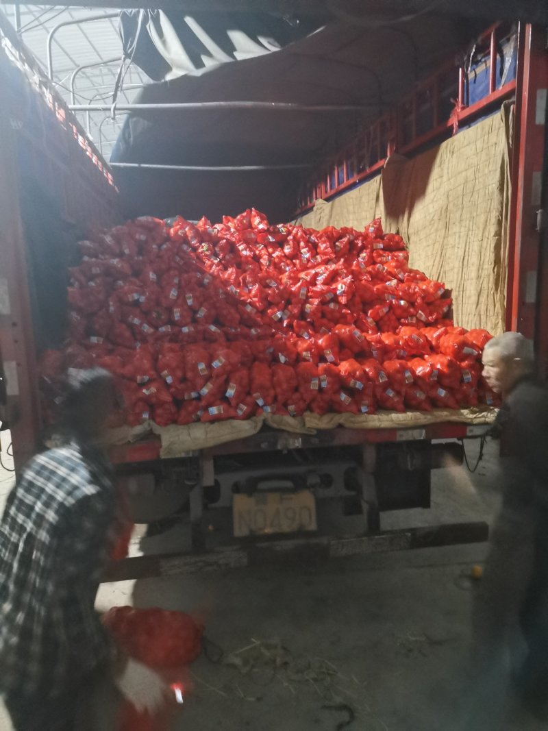 麻阳冰糖橙，老李诚实代办，次果3元/4斤半/包到上车