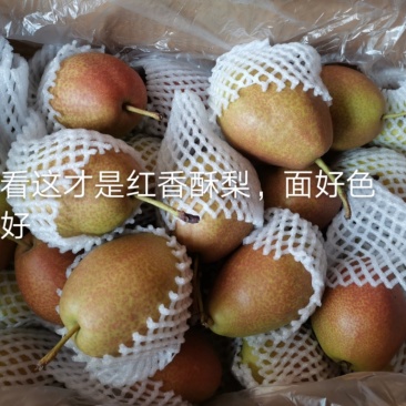 梨