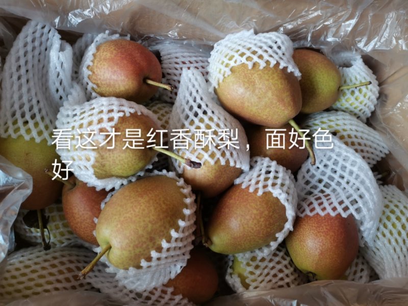 梨