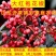 四川麻椒苗麻椒树苗花椒苗南北方种植花椒树苗