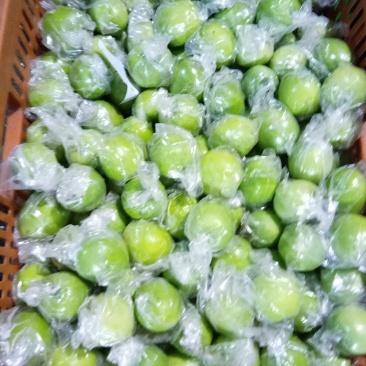 广西青枣，分级分价，货亮翠甜
