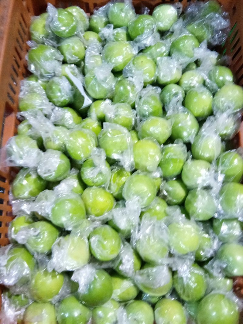 广西青枣，分级分价，货亮翠甜