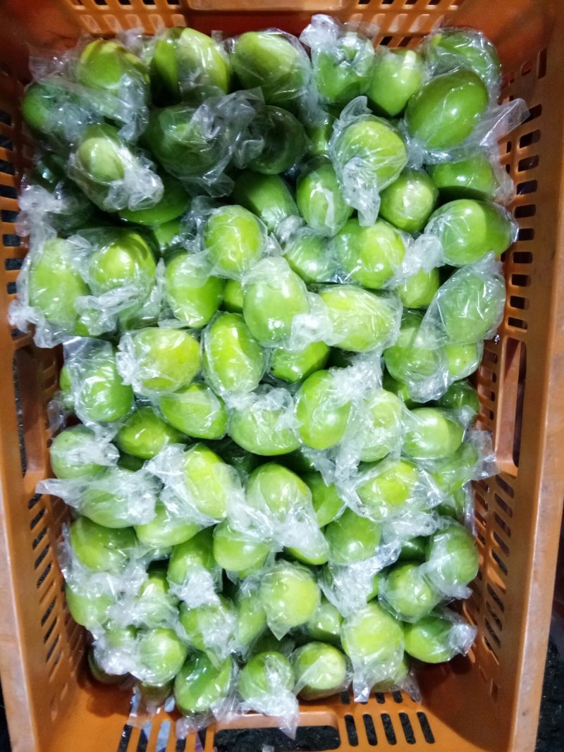 广西青枣，分级分价，货亮翠甜