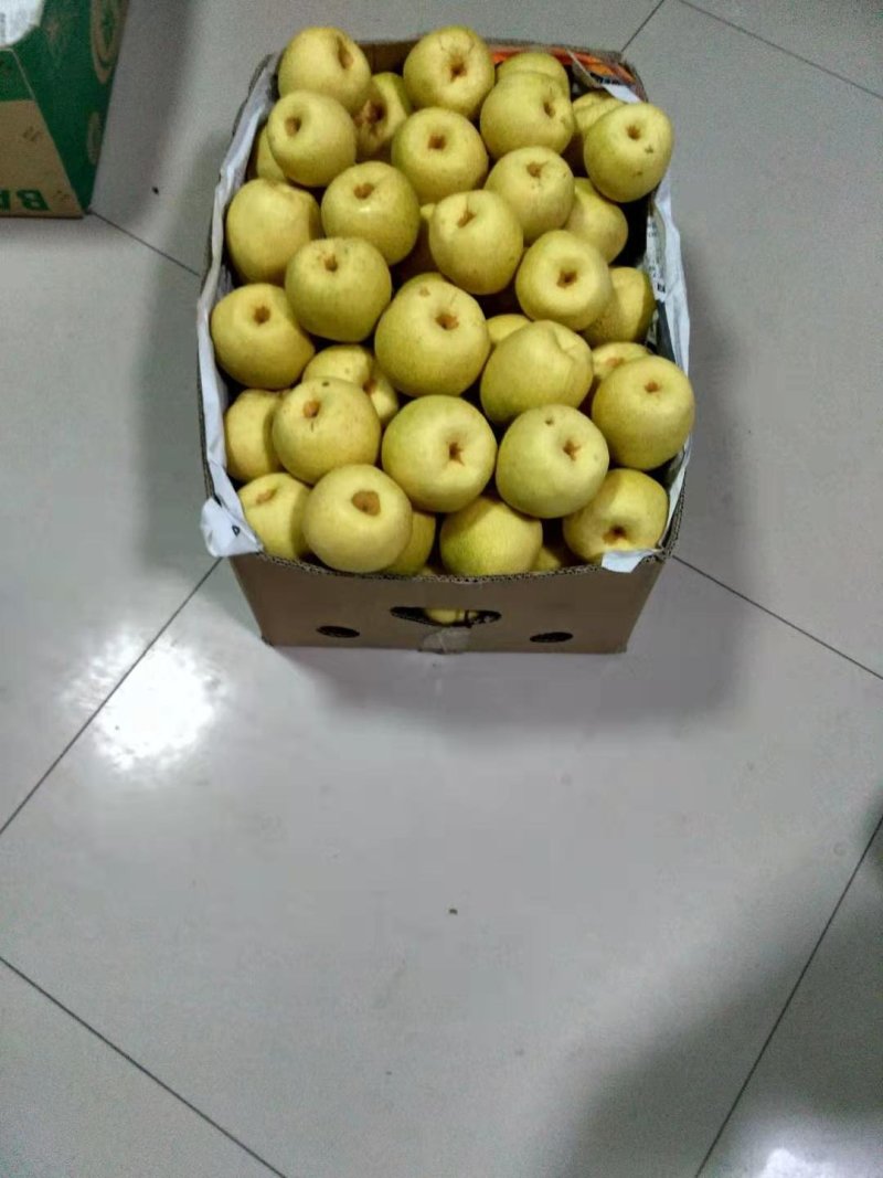 可视频看货代收代发，多年诚信代办。代县酥梨个大色泽好看