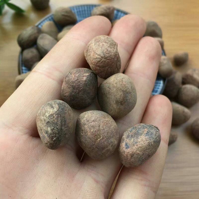 大枫子大风子麻风子无硫干品中药材